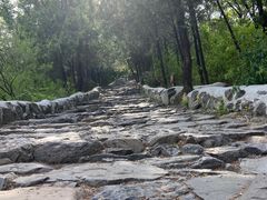 -阳台山自然风景区