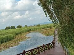 -苏州太湖湖滨国家湿地公园