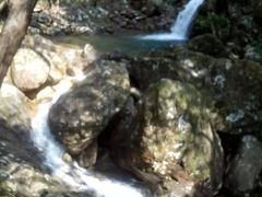 -祁门牯牛降观音堂风景区