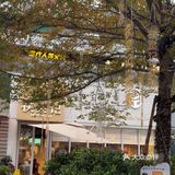 养生桃胶炖奶