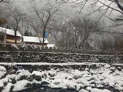 -陕西省红河谷森林公园