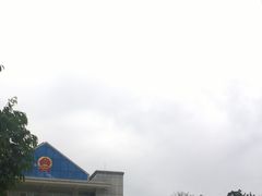 -打洛口岸