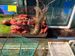 -辉记炭烧海鲜大排档·老字号(福田店)