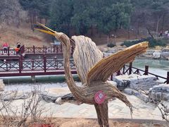 -北京西山国家森林公园