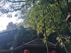 -西安国际创新人才交流中心•药浴温泉