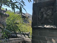 -老张烤羊(王哥庄店)