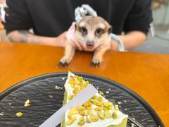 -食事FOOD-WISE(棠颂府店)