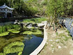 -白水寺森林公园