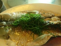 -鲤鱼塘农家山庄