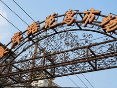 -溪岸路花鸟市场