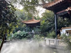 -广州兰圃