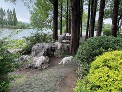 -无锡君来洲际酒店