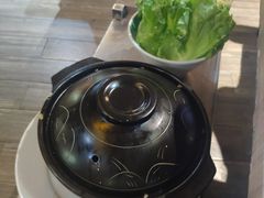 -探窝·竹笙椰子鸡(杨箕店)