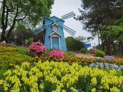 -铁山坪森林公园