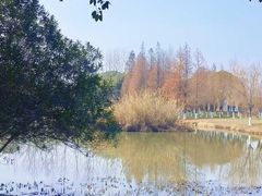 -艾溪湖湿地公园