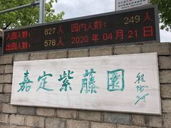 -嘉定紫藤园
