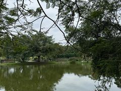 -东莞植物园
