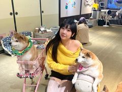 -逗柴咖啡屋·狗咖猫咖宠物桌游