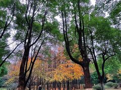 -合肥野生动物园