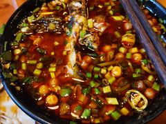 -三道苗苗鱼·美蛙黄辣丁(八里店)