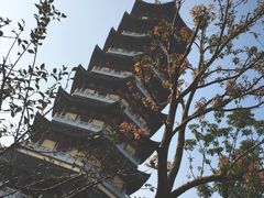 -芜湖方特东方神画