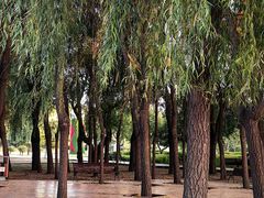 -长春公园(普阳街道)