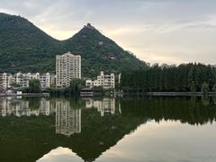 -凤池园