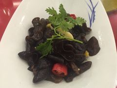 -碧丽宫大酒店(召稼楼店)