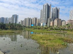 -中澳友谊花园