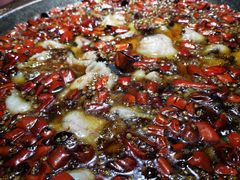 -雲蜀龙阁·金牌水煮鱼(方庄店)