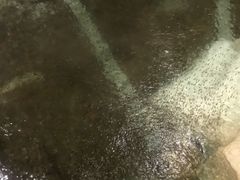 -中铁花水湾温泉酒店(大邑店)