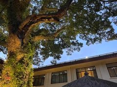 -普陀山雷迪森庄园