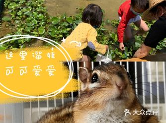 六一去哪里！深圳首家屋顶动植物乐园