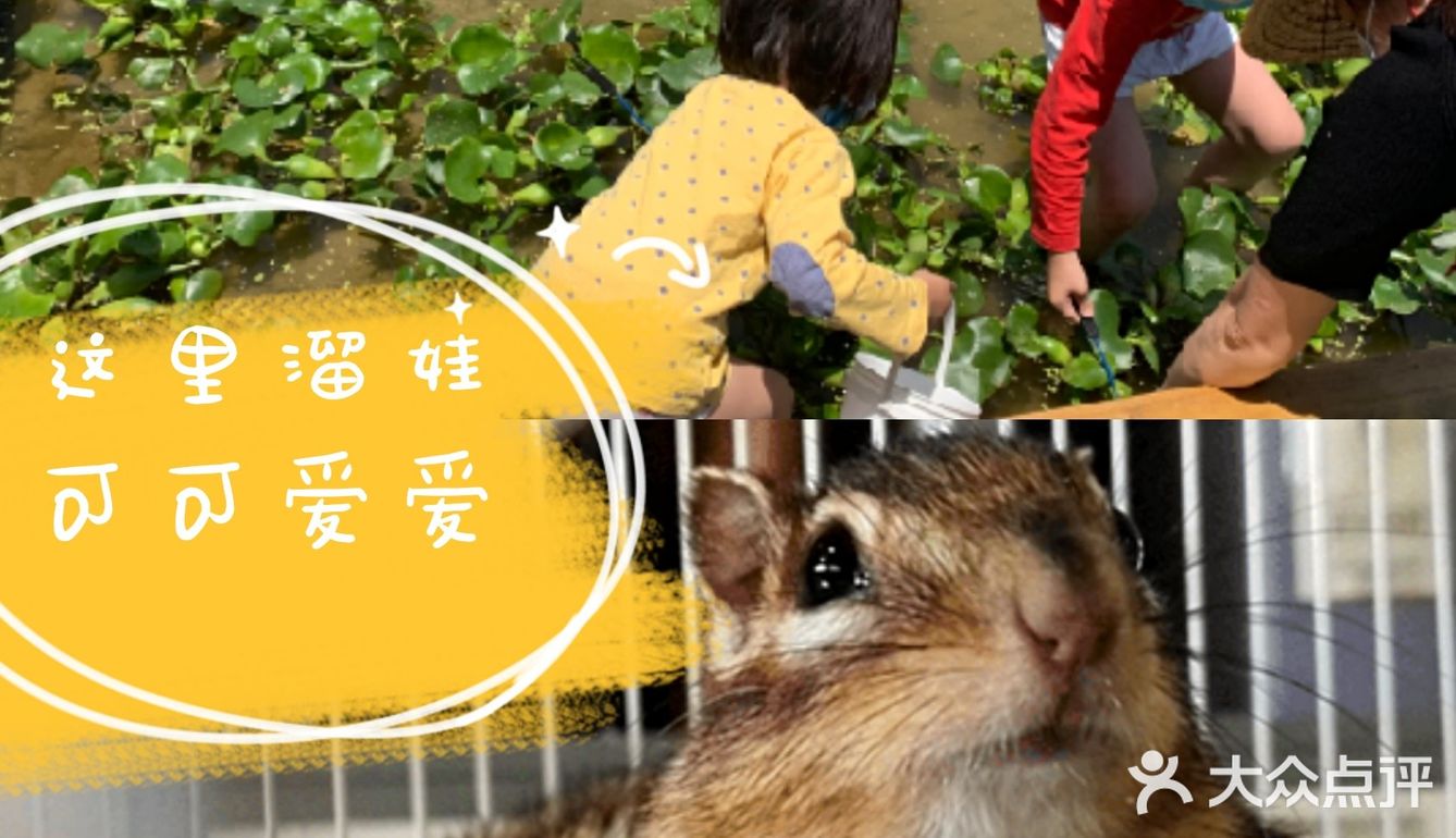 六一去哪里！深圳首家屋顶动植物乐园[加油][加油]