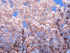-颐和园