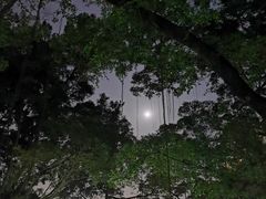 -晓港公园