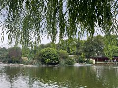 -成都动物园