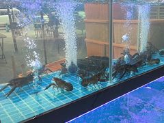-老班长·小龙虾·鲜货烧烤大排档(金街美地店)