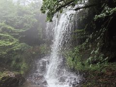 -瓦屋山景区