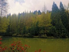 -山王坪喀斯特国家生态公园