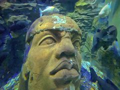 -成都浩海立方海洋公园