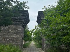 -广富林郊野公园