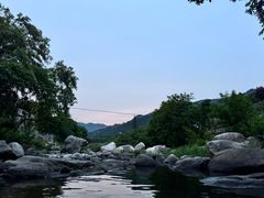 -崂山水果园农家宴(泉水鸡店)