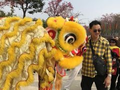 -天适樱花悠乐园