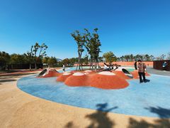 -春花秋色城市公园