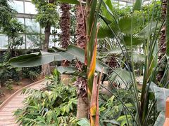 -石家庄市植物园