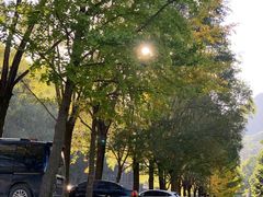 -洛阳白云山景区