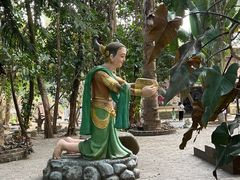 -瑞丽独树成林风景区