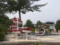 景点-立水桥公园