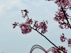 -艾溪湖湿地公园